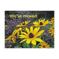 AS- Yellow Daisy Moving Notice Postcards postcard