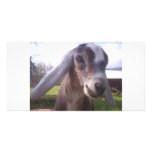 ASAPFarm Joey Photo Greeting Card