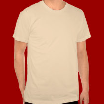Asatru Shirt t-shirts