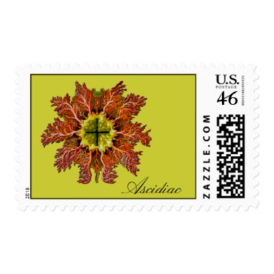 Ascidiac Custom Postage by retroz