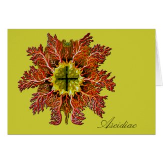 Ascidiac Horizontal Greeting Card card