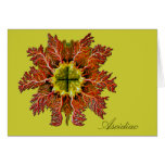 Ascidiac Horizontal Greeting Card