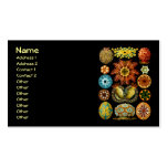 Ascidiacea (Sea Squirts), Ernst Haeckel business cards