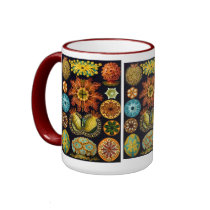 Ascidiacea (Sea Squirts), Ernst Haeckel mugs