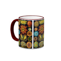 Ascidiacea (Sea Squirts), Ernst Haeckel Mug