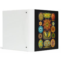 Ascidiae Binder