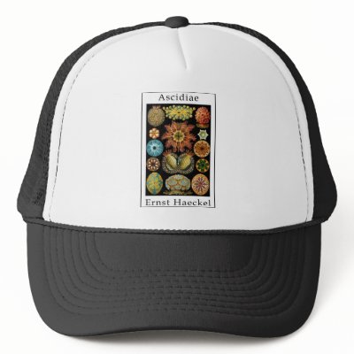 Ascidiae by Ernst Haeckel Mesh Hat by Ernst_Haeckel_Prints