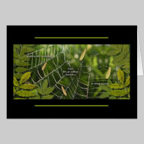 Ash Keys card cards