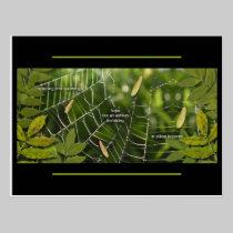 Ash Keys postcard postcards