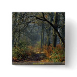 Ashdown forest button