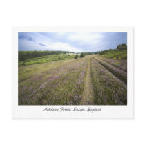 Ashdown Forest postcards by waggytails Ashdown Forest postcards