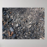 Ashes and Burned wood on the ground Posters