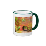 Asheville Biltmore Tunnel Mug