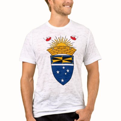 Ashfield Coat of Arms T-shirt by FlagTshirts