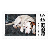 Ashley 005_edited postage by valleydoglover Ashley 005_edited postage