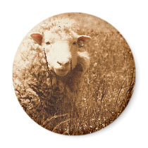 Ashley in Sepia Fridge Magnets