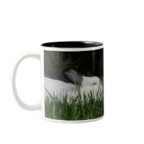 Ashton mugs by Nikita13 Ashton mugs