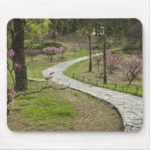 Asia, China, Beijing. Spring blossoms along Mouse Pad