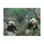 Asia, China, Chengdu. Giant Panda Sanctuary - 2 Post Cards