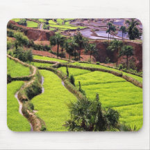 Asia, China, Yunnan, Honghe.  Rice terraces near 2 Mousepad