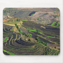 Asia, China, Yunnan, Honghe. Rice Terraces near Mousepads