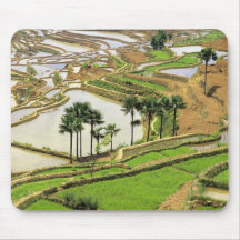 Asia, China, Yunnan, Honghe.  Rice terraces near Mousepads