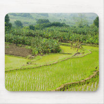 Asia, China, Yunnan Province, Honghe. Banana Mousepads