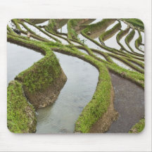 Asia, China, Yunnan, Yuanyang. Flooded rice Mouse Pad