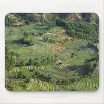 Asia, China, Yunnan, Yuanyang. Pattern of green 2 Mousepads