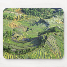 Asia, China, Yunnan, Yuanyang. Pattern of green Mouse Pads
