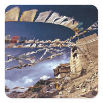 Asia, India, Ladakh, Leh. Known as Little Square Stickers