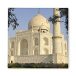 Asia, India, Uttar Pradesh, Agra. The Taj Magnets