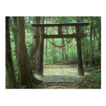 Asia, Japan, Kagoshima, Yakushima, Mountain Postcards