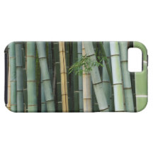 Asia, Japan, Kyoto, Arashiyama, Sagano, Bamboo iPhone 5 Covers