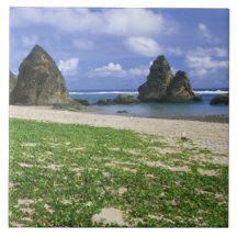 Asia, Japón, Okinawa, costa costa de Yambaru, mar Tejas