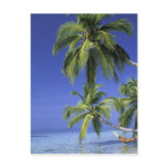 ie - inhouse scan, ocean, maldive islands,