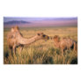 Asia, Mongolia, Gobi Desert, Great Gobi