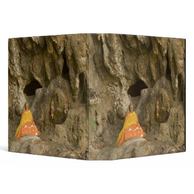 Asia, Thailand, Mae Hong Son, Buddha Images 3 Ring Binder by danitadelimont