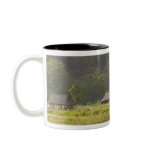 Asia, Thailand, Mae Hong Son, Rice huts in the Coffee Mugs