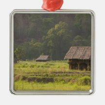 Asia, Thailand, Mae Hong Son, Rice huts in the Christmas Tree Ornament