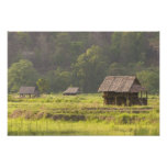 rice, asia, asian, lifestyle, gavriel jecan, - party travel