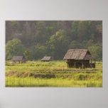 Asia, Thailand, Mae Hong Son, Rice huts in the