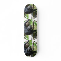 Asian Bearcat  Skateboard