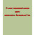 asia, asian, fashion, women, girls, sayings