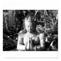 Asian Black and White posters by cindy_k Asian Black and White posters