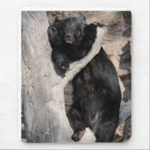 Asian Black Bear mousepads