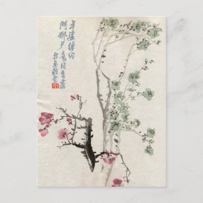 Asian Cherry Blossoms Vintage Postcard