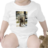 Asian Elephan Romper