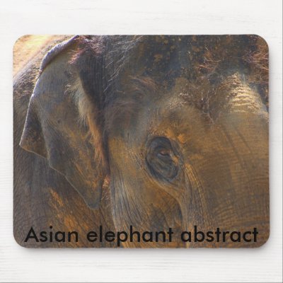 Asian elephant abstract mouse mats by jdmphotography