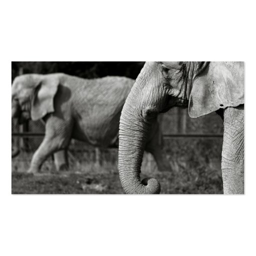 Asian Elephant Business Card (back side)